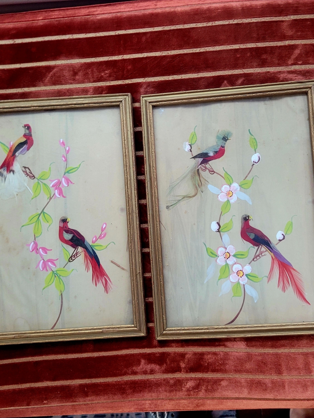 Vintage Bird Artwork Set
